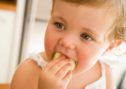 嬰兒精緻副食品 當心衍發暴牙危機